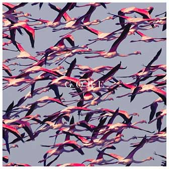 "Gore" album by Deftones