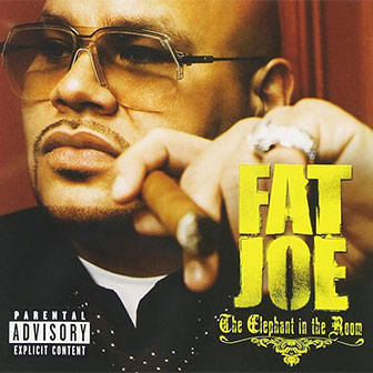 "I Won't Tell" by Fat Joe