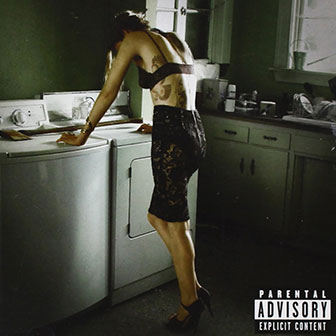 "Don't Look Down" album by Skylar Grey