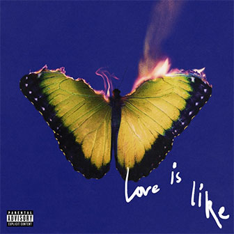 "Love Is Like" album