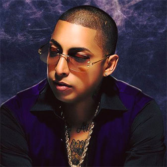 Nengo Flow